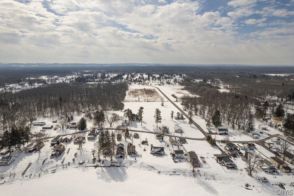 Walnut Grove Road Bridgeport, NY 13030 - Photo 10 of 24