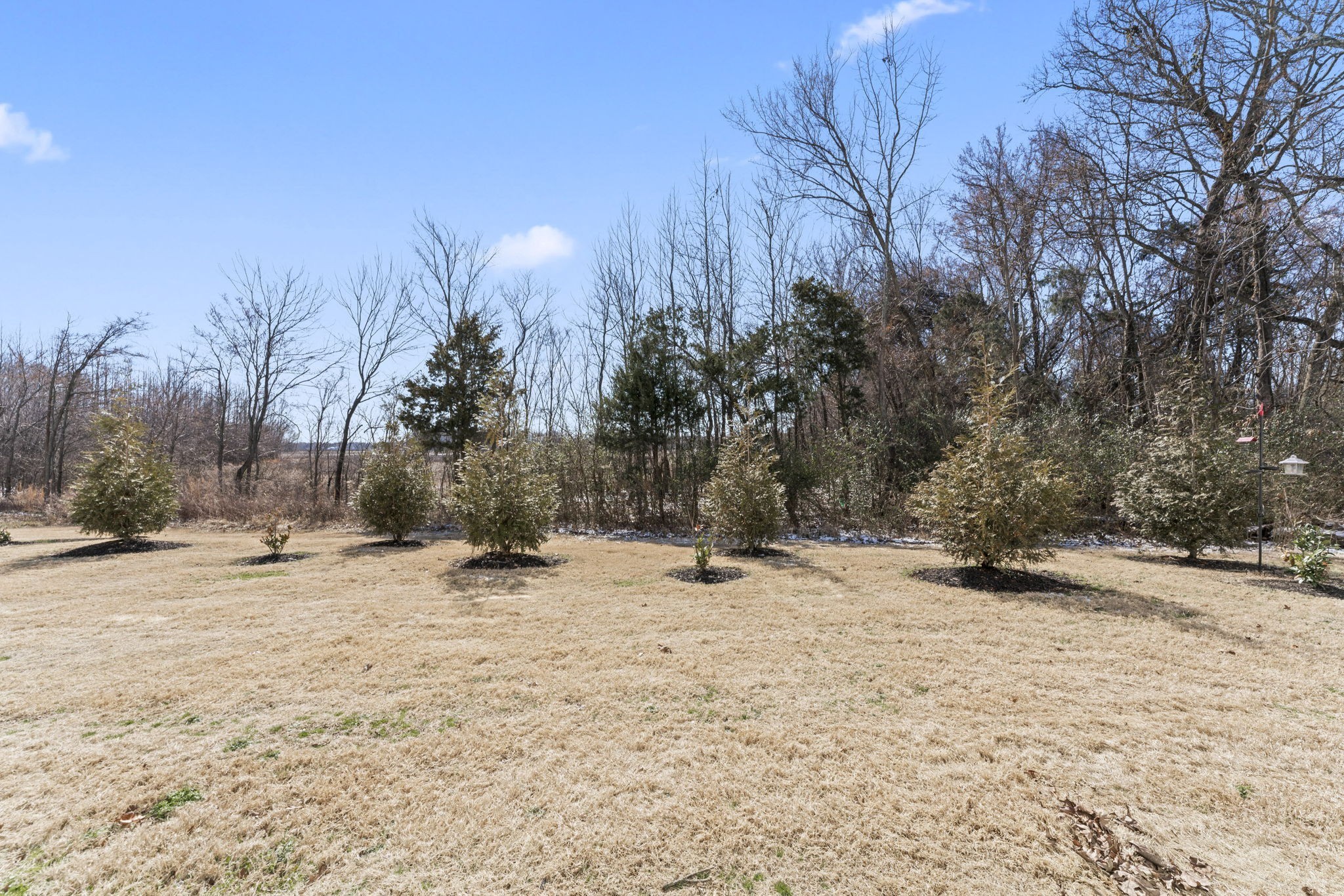 5711 Dockside Drive Rockvale, TN 37153 - Photo 28 of 30 a view of a yard with a tree