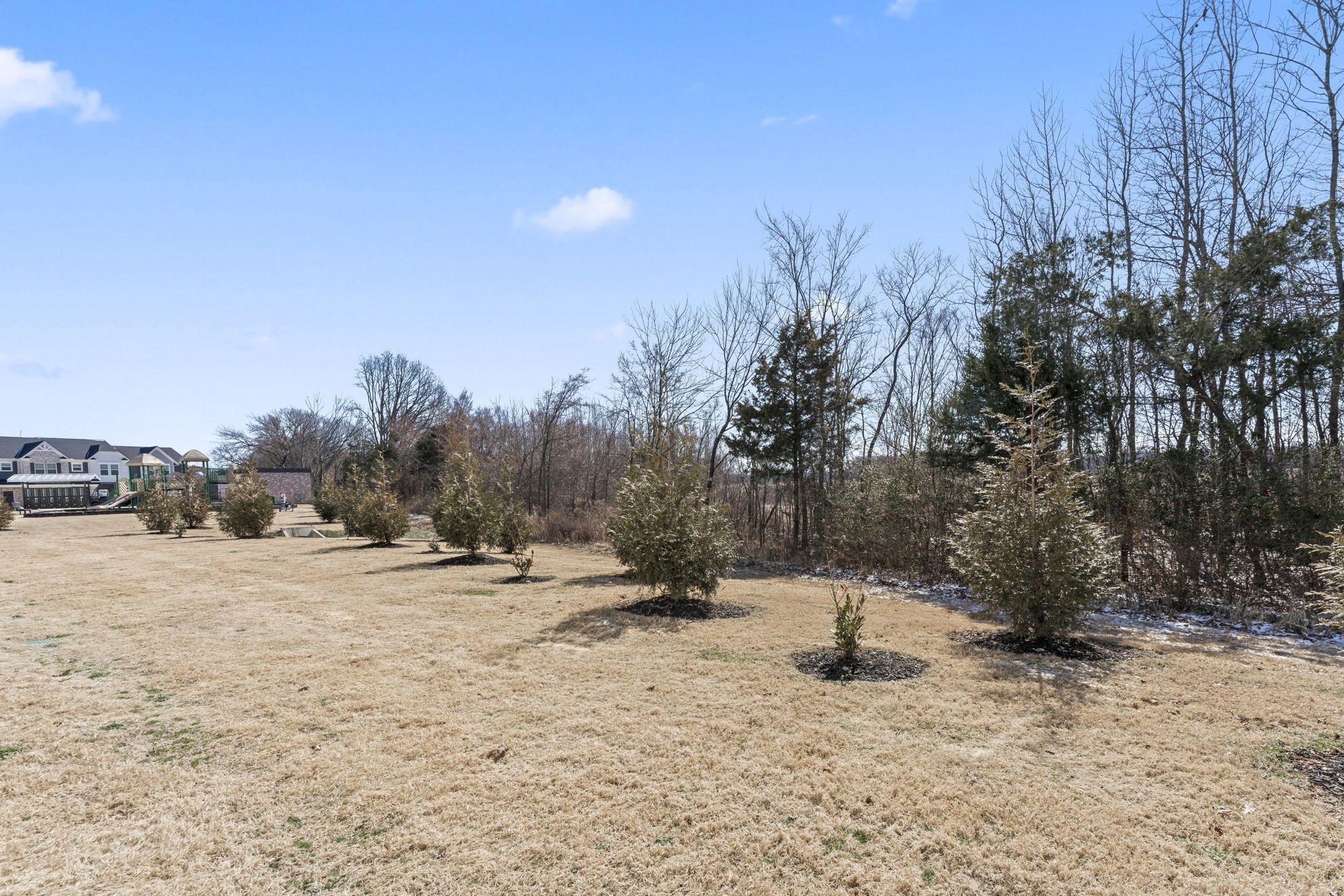5711 Dockside Drive Rockvale, TN 37153 - Photo 29 of 30 a view of a snow with trees in the background