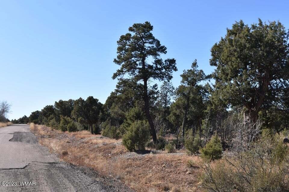 5010 Joe Tank Road Show Low, AZ 85901 - Photo 2 of 11
