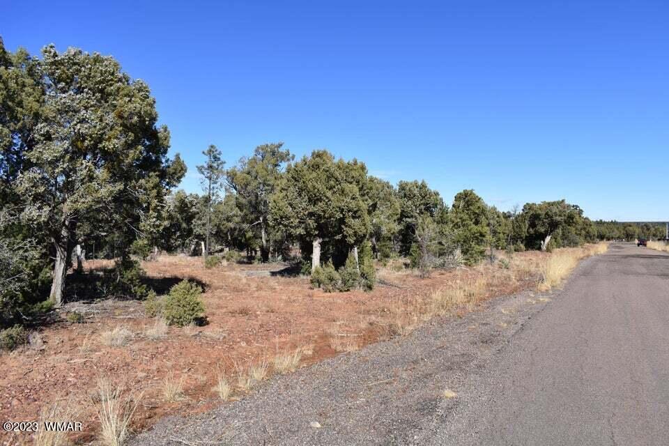 5010 Joe Tank Road Show Low, AZ 85901 - Photo 8 of 11