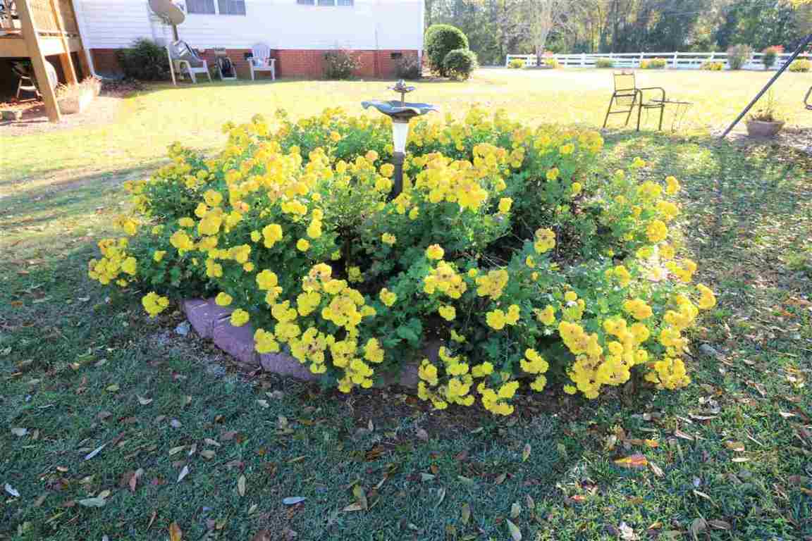 101 Thomas Welborn Road Anderson, SC 29625 - Photo 29 of 32