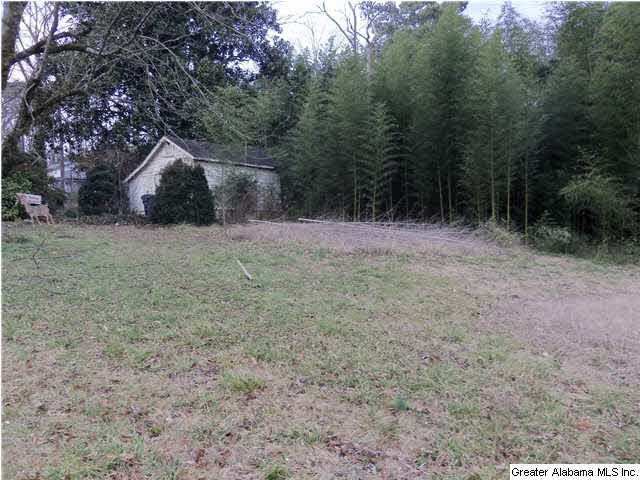 6099 Highway 11 Springville, AL 35146 - Photo 7 of 7