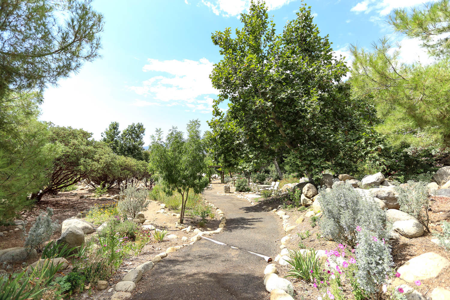 45314 Blue Ridge Drive Springville, CA 93265 - Photo 89 of 111 IMG_4867