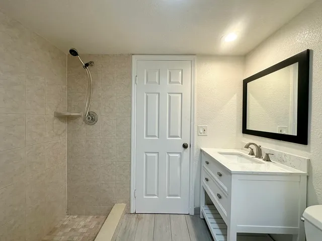 a bathroom with a sink mirror vanity and toilet