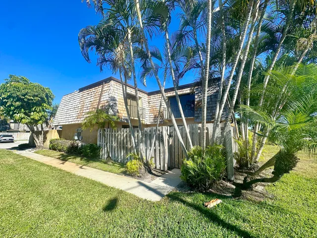 a view of a backyard with a tree