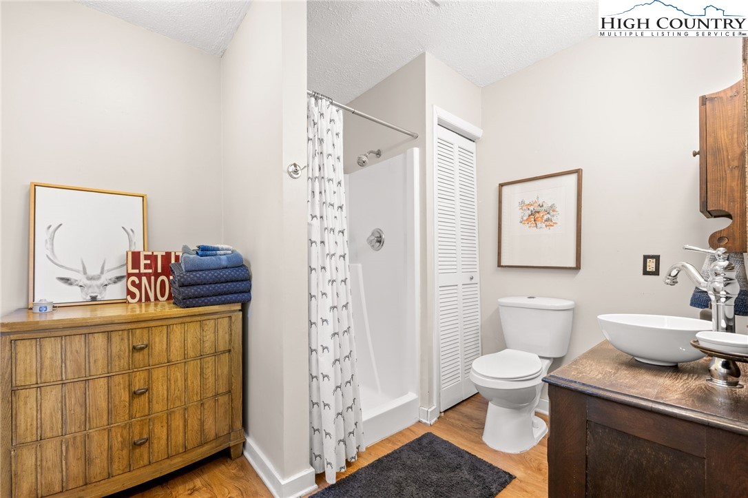 178 Fox Run Road Sugar Mountain, NC 28604 - Photo 31 of 46