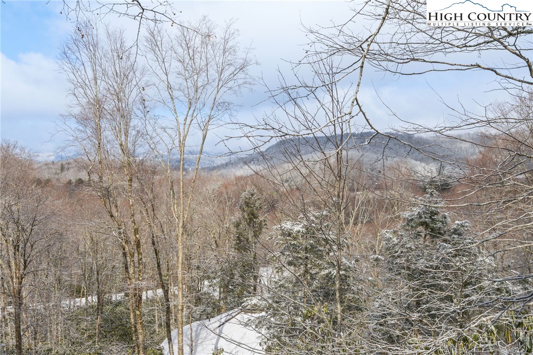 178 Fox Run Road Sugar Mountain, NC 28604 - Photo 43 of 46