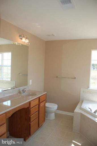24645 Tribbett Circle Ridgely, MD 21660 - Photo 14 of 21 Master Bath