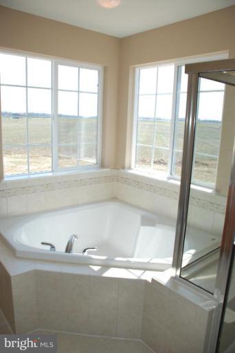 24645 Tribbett Circle Ridgely, MD 21660 - Photo 15 of 21 Master Bath #2