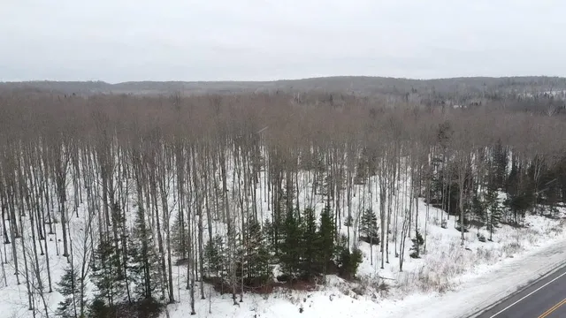 $84,628 | 70 Hwy Tipler Wi 54542, Unit 1, Long Lake, WI 54542