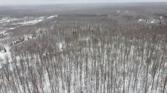 $84,628 | 70 Hwy Tipler Wi 54542, Unit 1, Long Lake, WI 54542