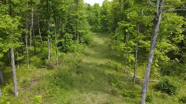 $84,628 | 70 Hwy Tipler Wi 54542, Unit 1, Long Lake, WI 54542