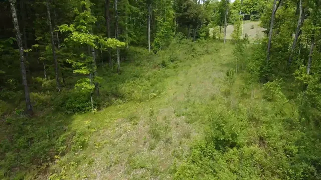 $84,628 | 70 Hwy Tipler Wi 54542, Unit 1, Long Lake, WI 54542