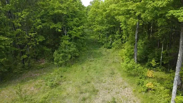 $84,628 | 70 Hwy Tipler Wi 54542, Unit 1, Long Lake, WI 54542