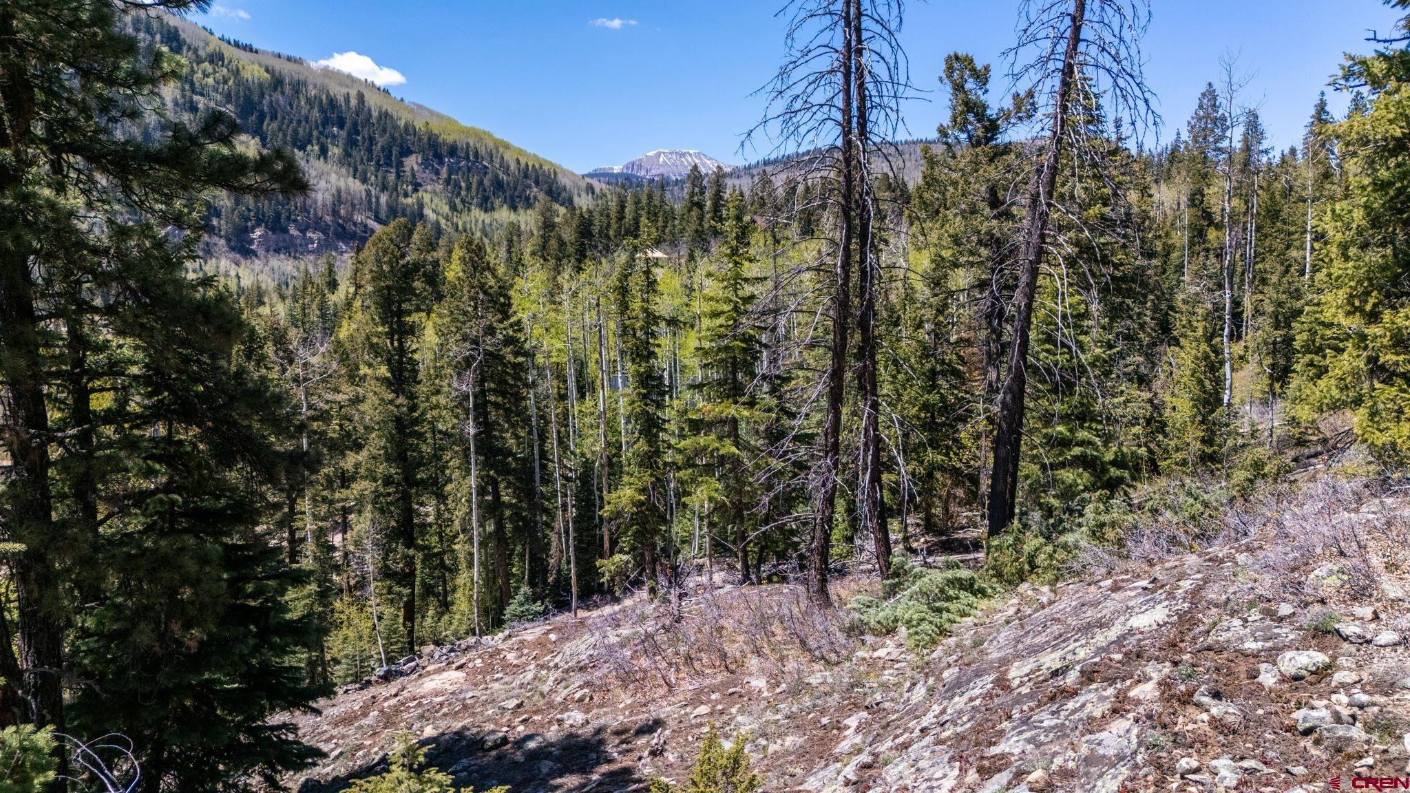 361 Deer Run Way Durango, CO 81301 - Photo 13 of 29 a view of a forest with a tree