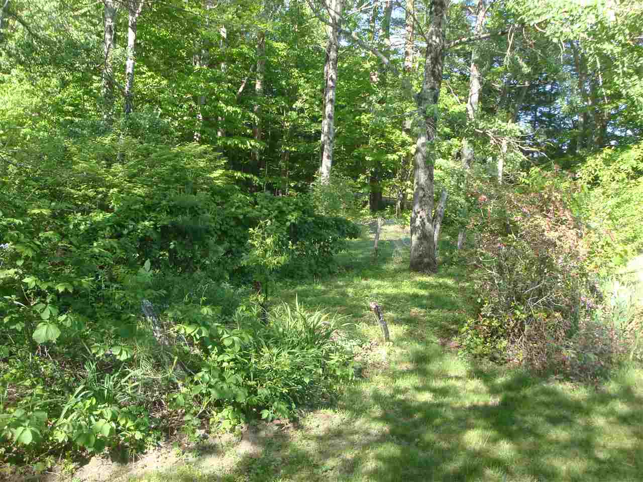 150 Barron Road Bristol, NH 03222 - Photo 5 of 31