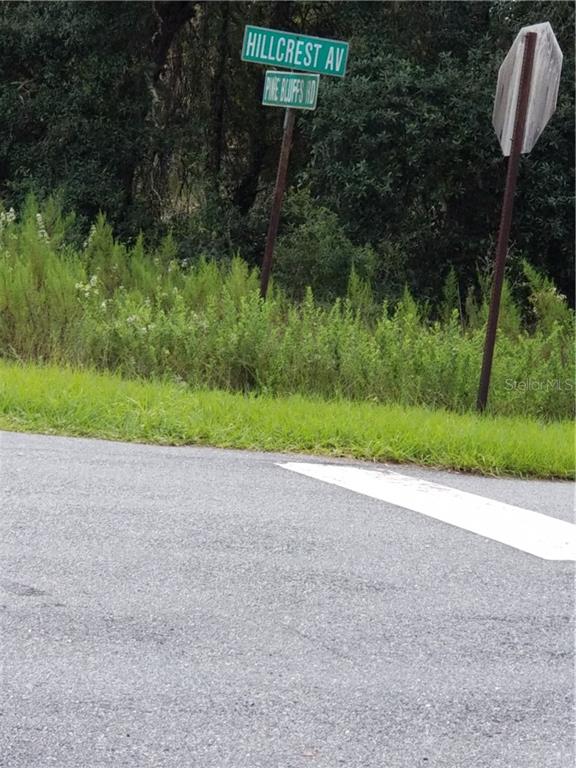 0 Southwest Pine Bluffs Road Dunnellon, FL 34431 - Photo 1 of 1
