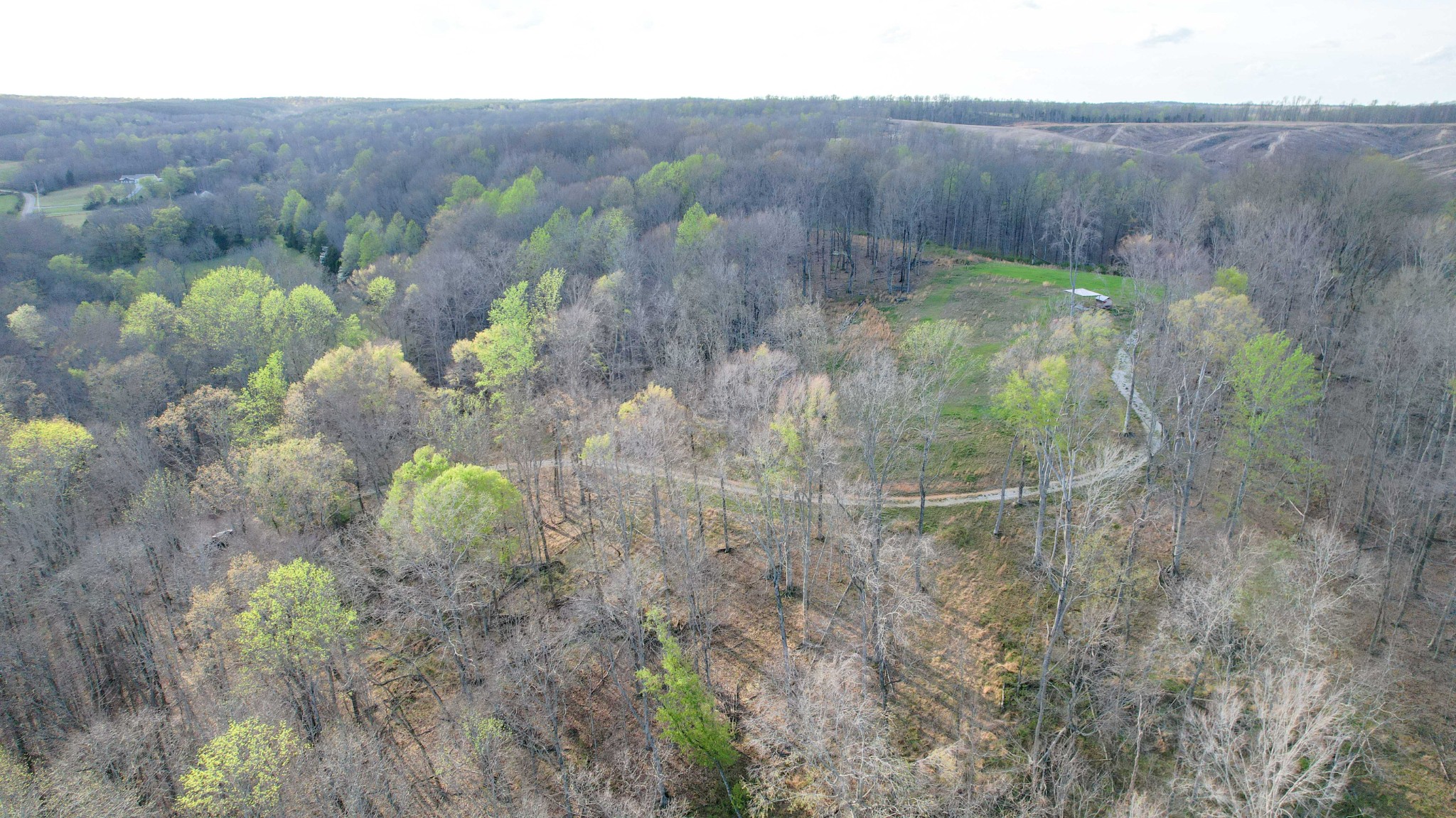 0 Bell Hollow Road Vanleer, TN 37181 - Photo 28 of 31 Gallery Image 28