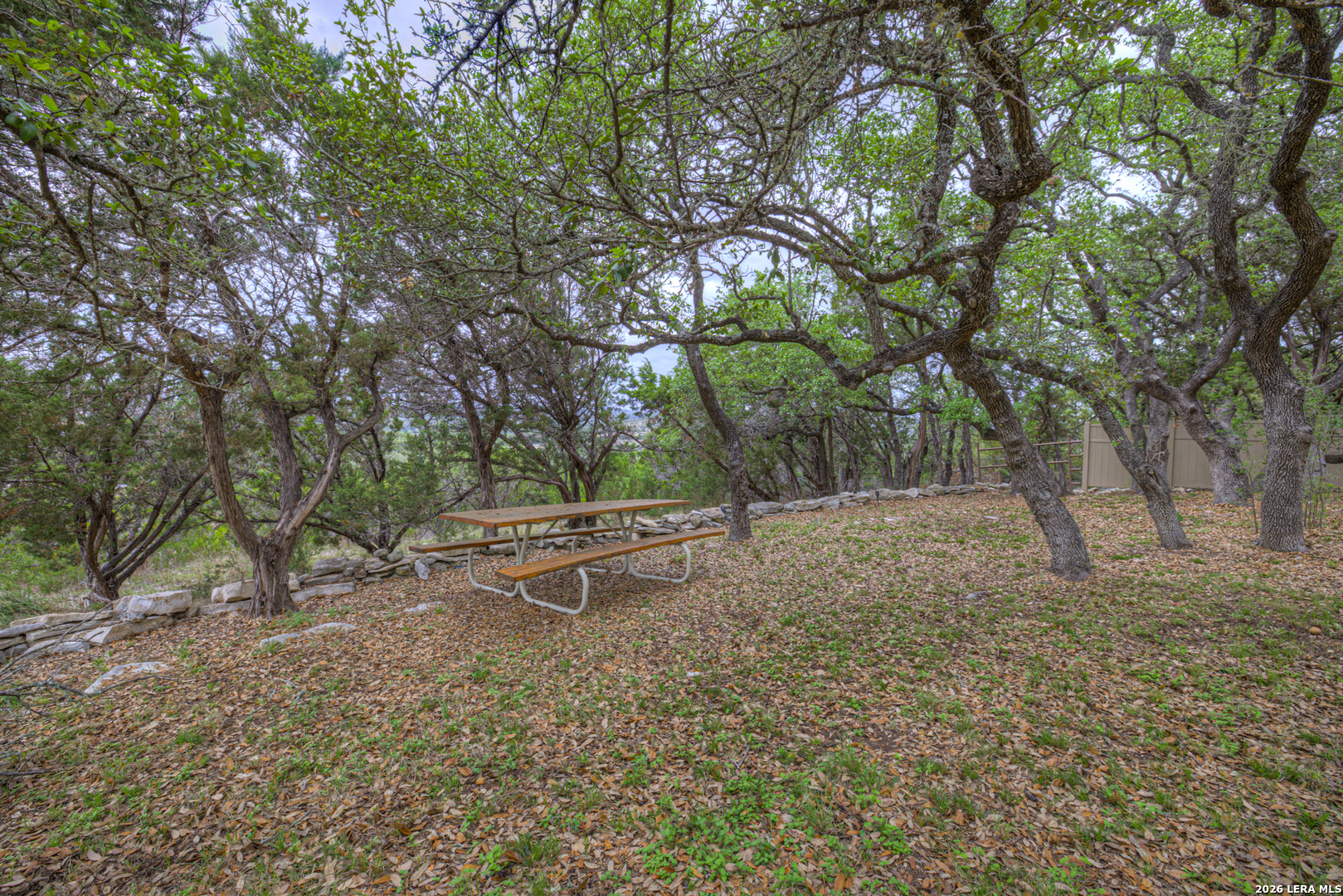 5855 Temerity Way Bulverde, TX 78163 - Photo 11 of 68