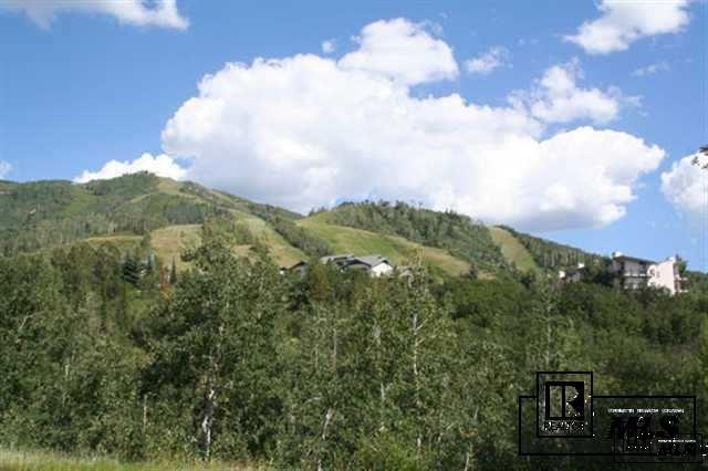 1660 Ranch Road, Unit 108 1660 Steamboat Springs, CO 80487 - Photo 1 of 1 Gallery Image 1