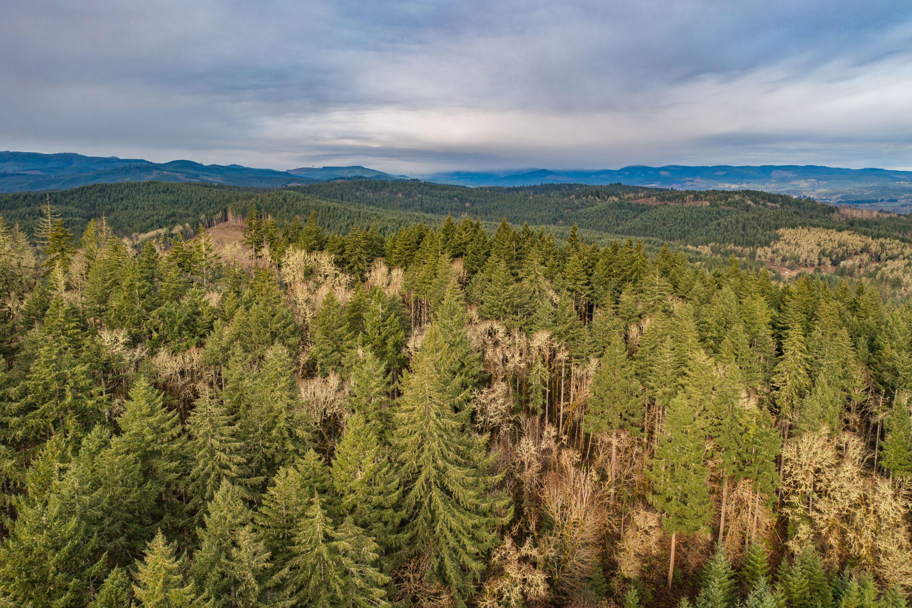 0 Airlie Road Monmouth, OR 97361 - Photo 5 of 33 Export-0831