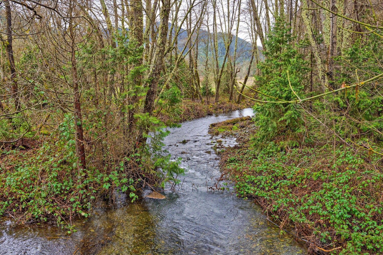 6901 Thompson Creek Road Jacksonville, OR 97530 - Photo 78 of 88 6901 Thompson Crk