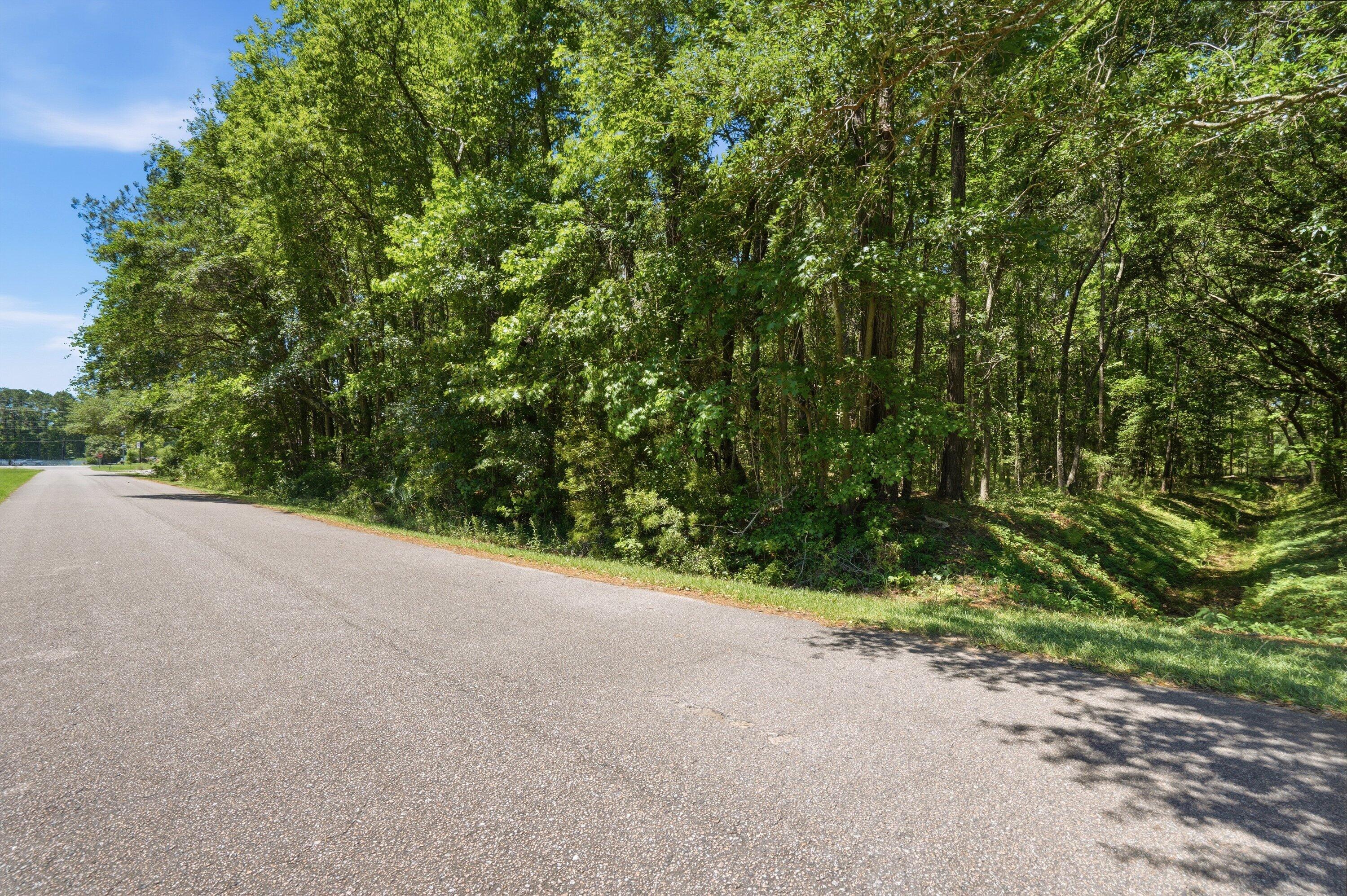 6023 Postell Drive Ravenel, SC 29470 - Photo 15 of 19