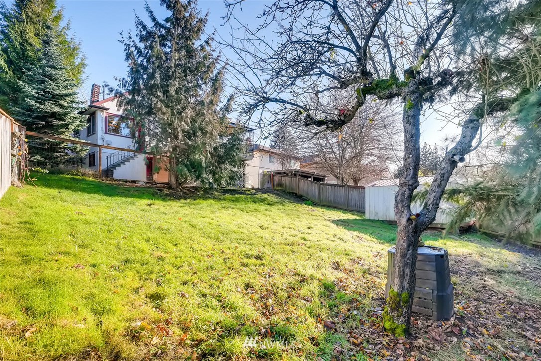 1523 Lake Avenue South Renton, WA 98055 - Photo 26 of 27 a view of a yard with plants and large trees