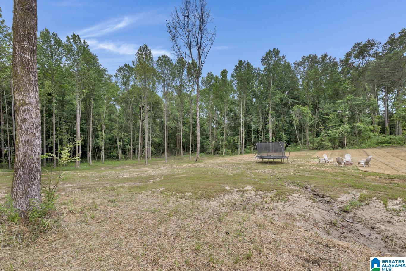120 Mt View Road Hayden, AL 35079 - Photo 6 of 35 Gallery Image 6