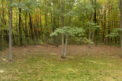 11550 Rooksby Street Sand Lake, MI 49343 - Photo 3 of 6 Additional Photo