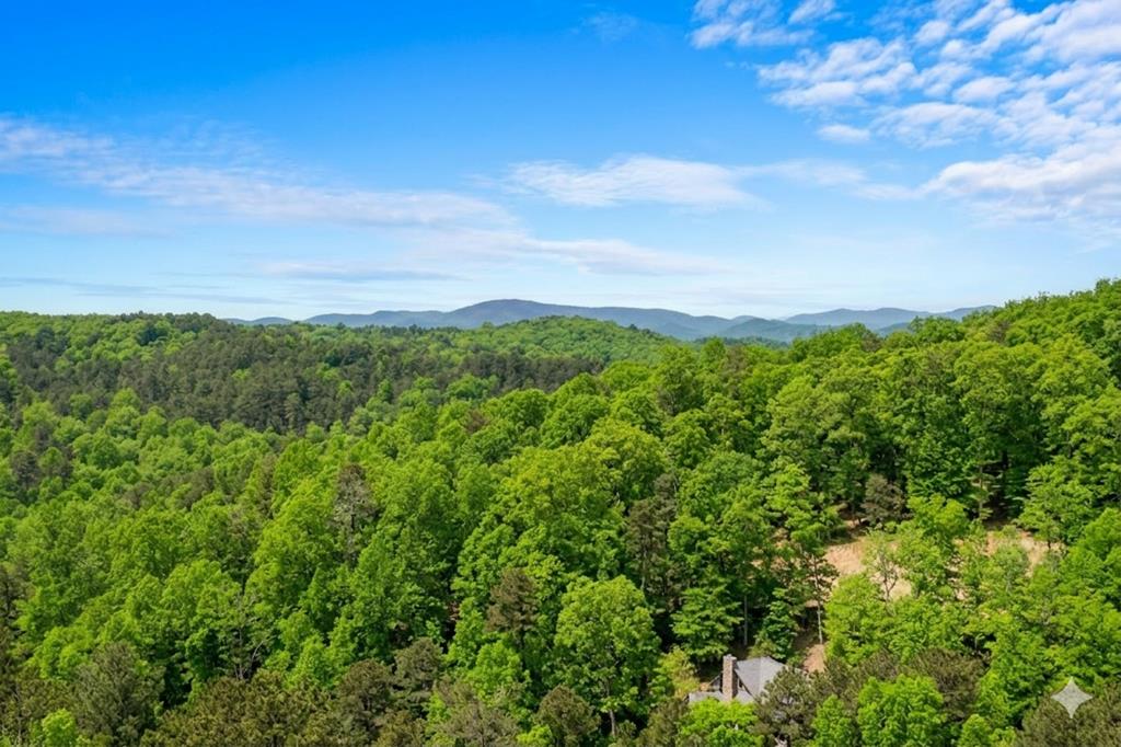 406 Hope Drive Blue Ridge, GA 30513 - Photo 2 of 73