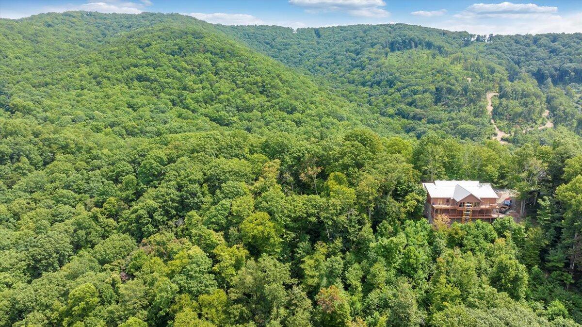Lot 17 Wildwood Ridge Lindside, WV 24951 - Photo 5 of 38 Lot 17 Wildwood Ridge