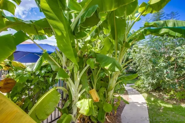 a view of outdoor space with car parked