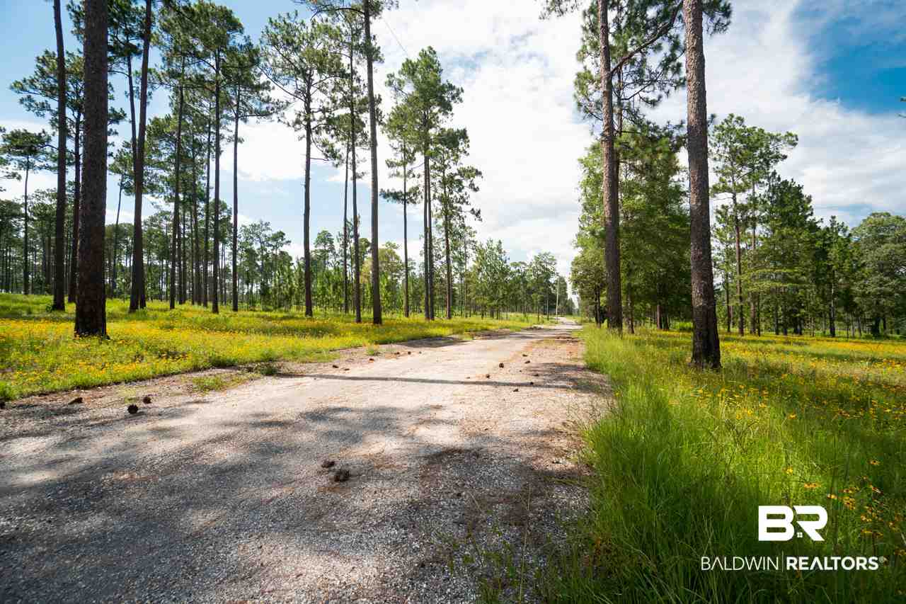 32552 Steelwood Ridge Road, Unit 4 Loxley, AL 36551 - Photo 50 of 50