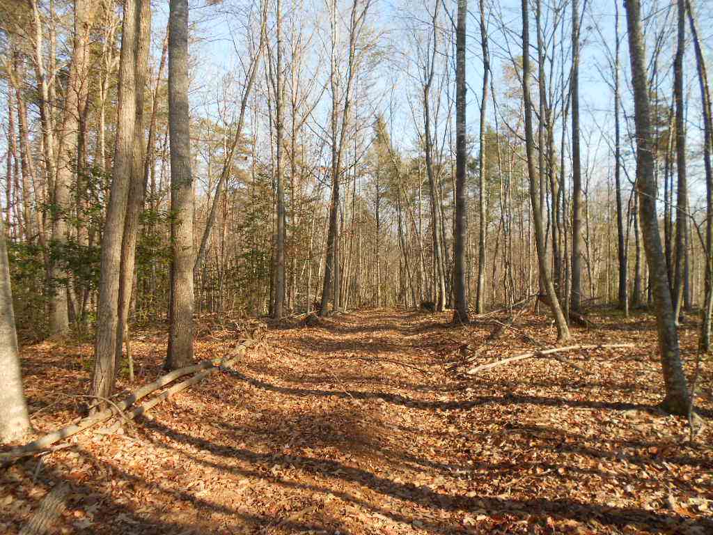 0 Gate Road Madison, VA 22727 - Photo 2 of 7 a view of a backyard of the house