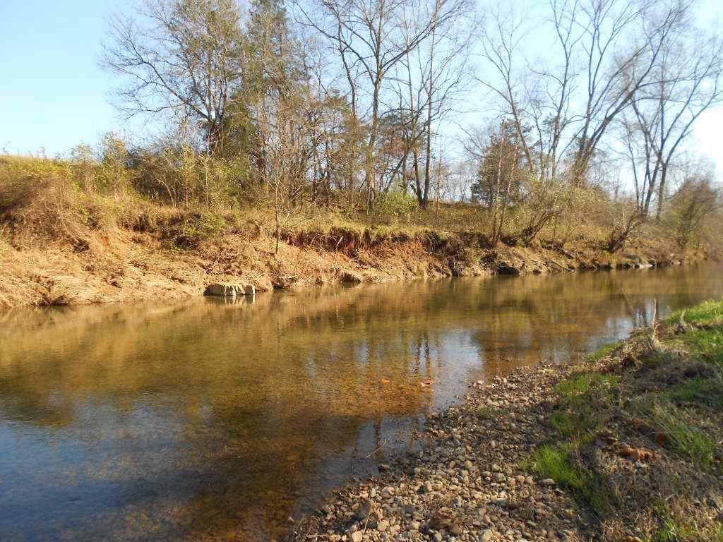 0 Gate Road Madison, VA 22727 - Photo 4 of 7 a view of lake