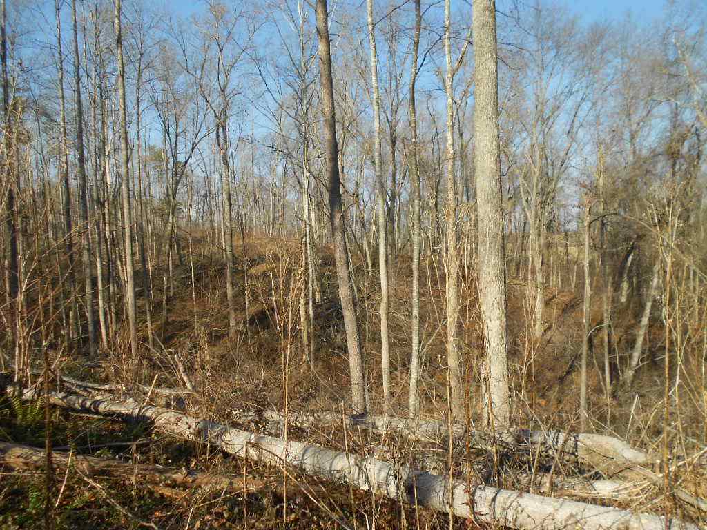 0 Gate Road Madison, VA 22727 - Photo 7 of 7
