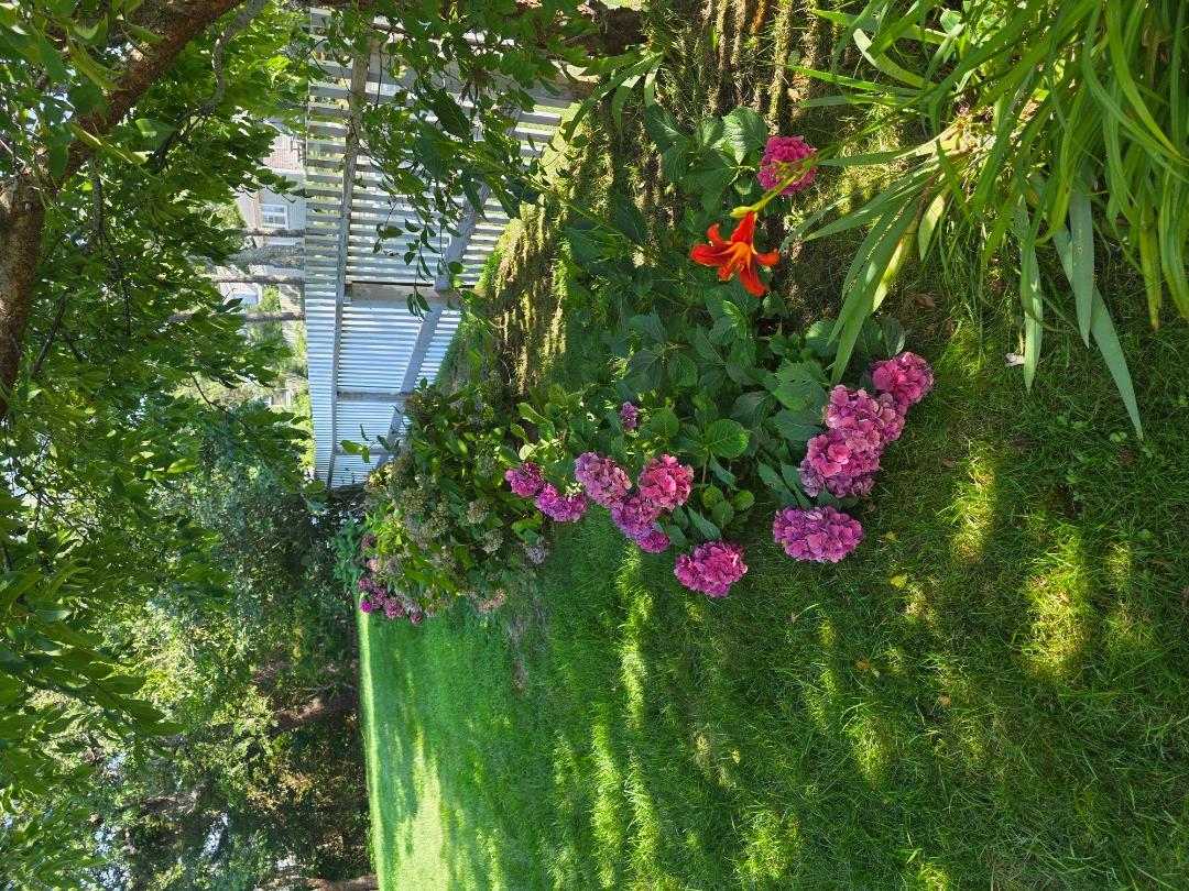 49 The Boulevard Edgartown, MA 02539 - Photo 11 of 49 Gallery Image 11
