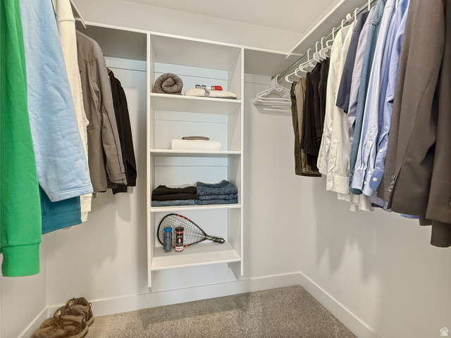 641 Desert Willow Drive Mapleton, UT 84664 - Photo 23 of 41 Walk in closet with carpet flooring
