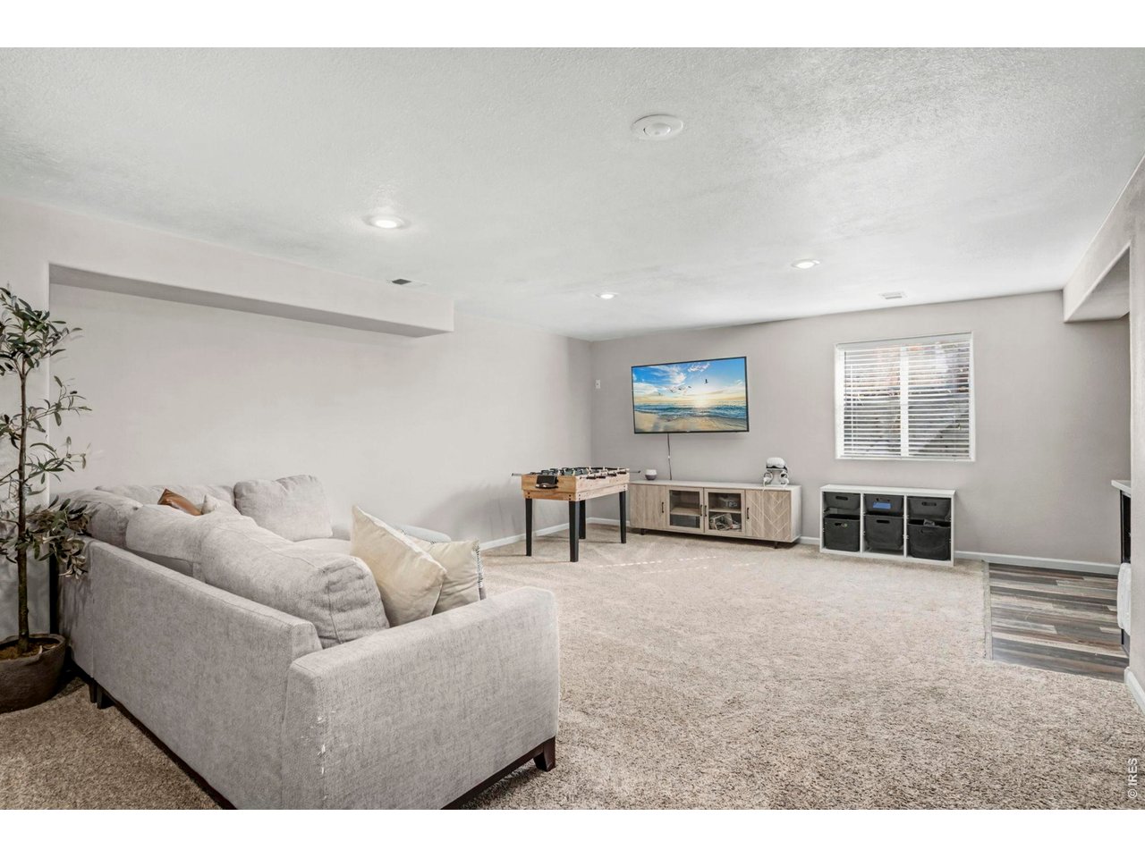 1313 Park Ridge Drive Severance, CO 80615 - Photo 26 of 43 Basement rec room