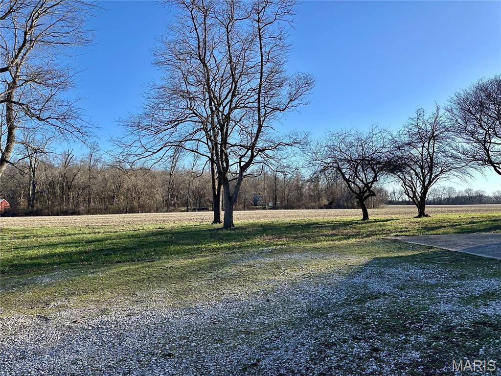 20754 Emerald Road Carlyle, IL 62231 - Photo 10 of 31