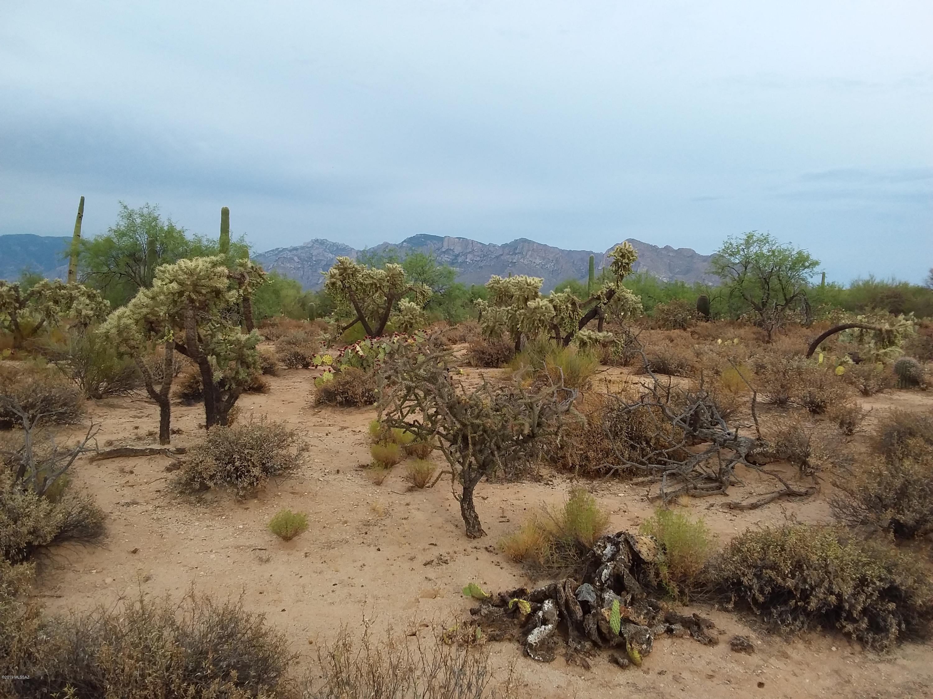 2315 West Tangerine Road Tucson, AZ 85742 - Photo 11 of 27