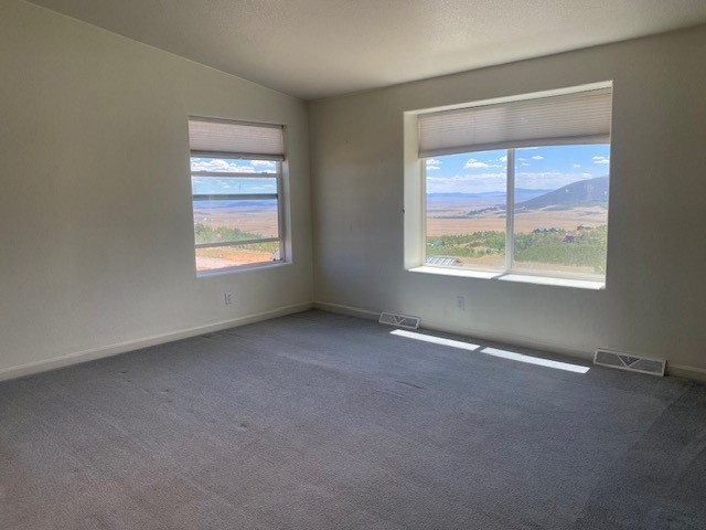 470 Sheep Ridge Road Fairplay, CO 80440 - Photo 6 of 23
