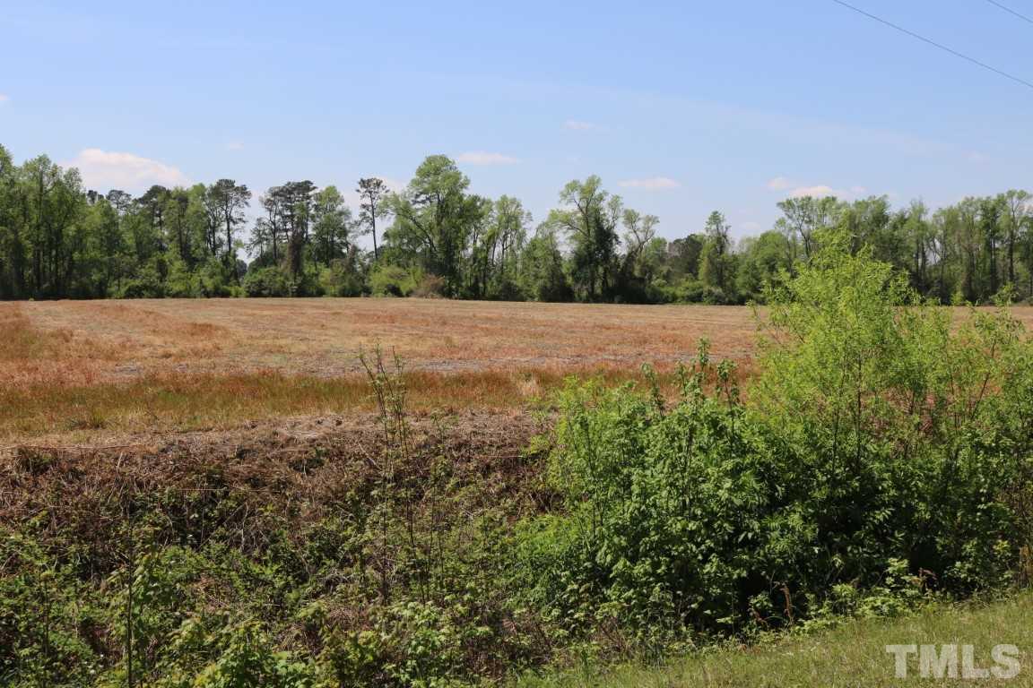 0 Corbett Road Newton Grove, NC 28366 - Photo 2 of 3 Gallery Image 2
