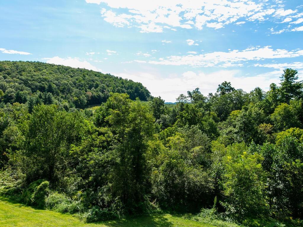 195 Hawke Crest Road Hendersonville, NC 28792 - Photo 28 of 29 Gallery Image 28