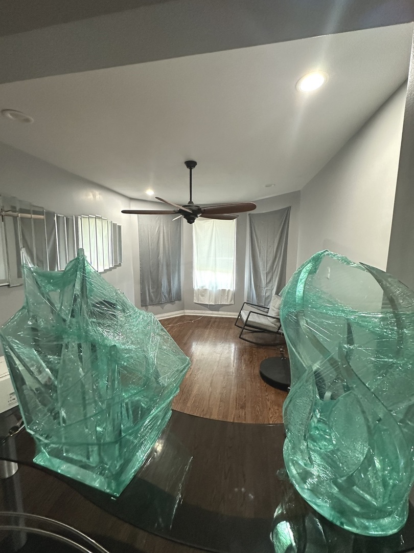 4424 West Congress Parkway Chicago, IL 60624 - Photo 5 of 12