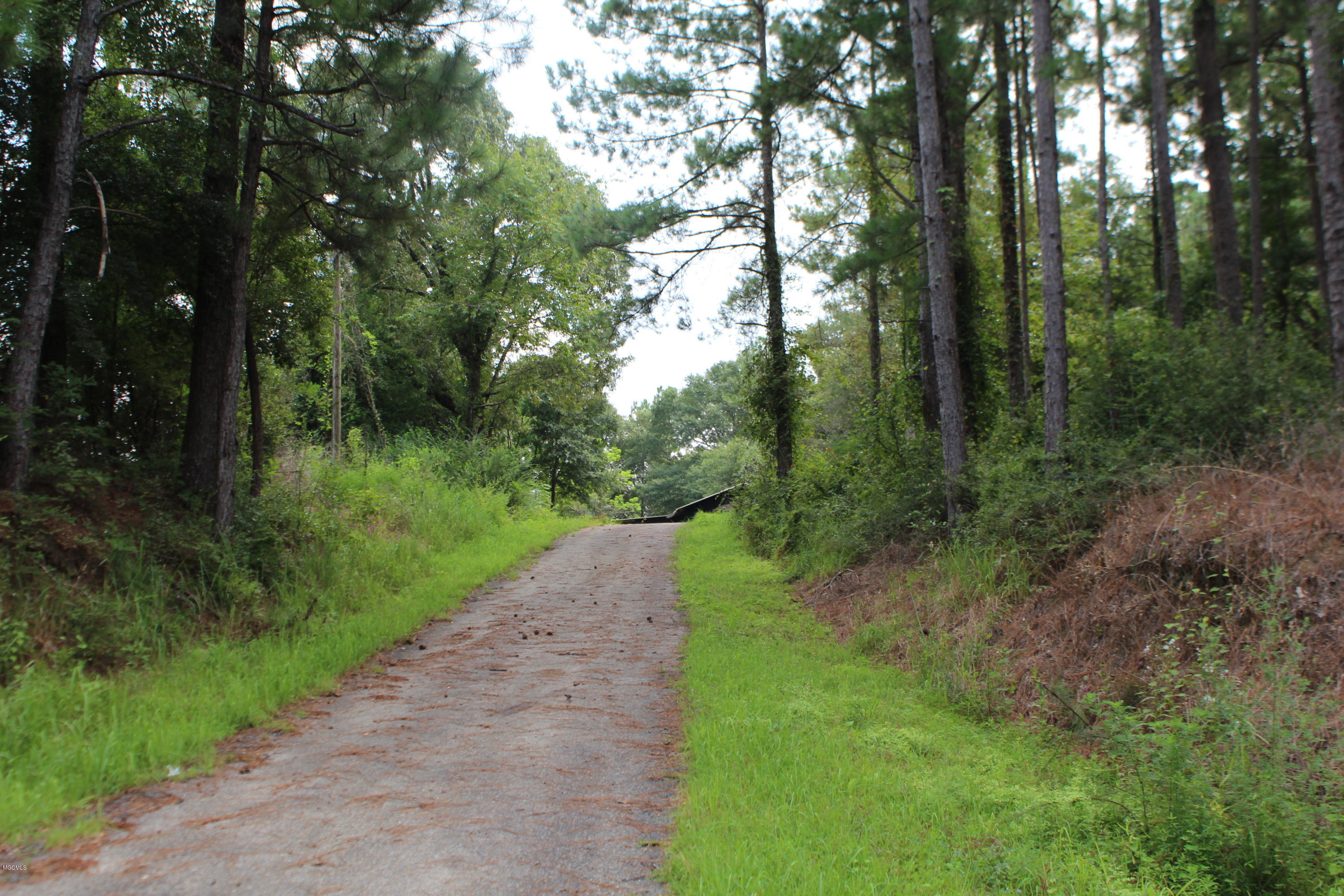 1.39-acres Inland Beach Road Lucedale, MS 39452 - Photo 1 of 11 IMG_4362