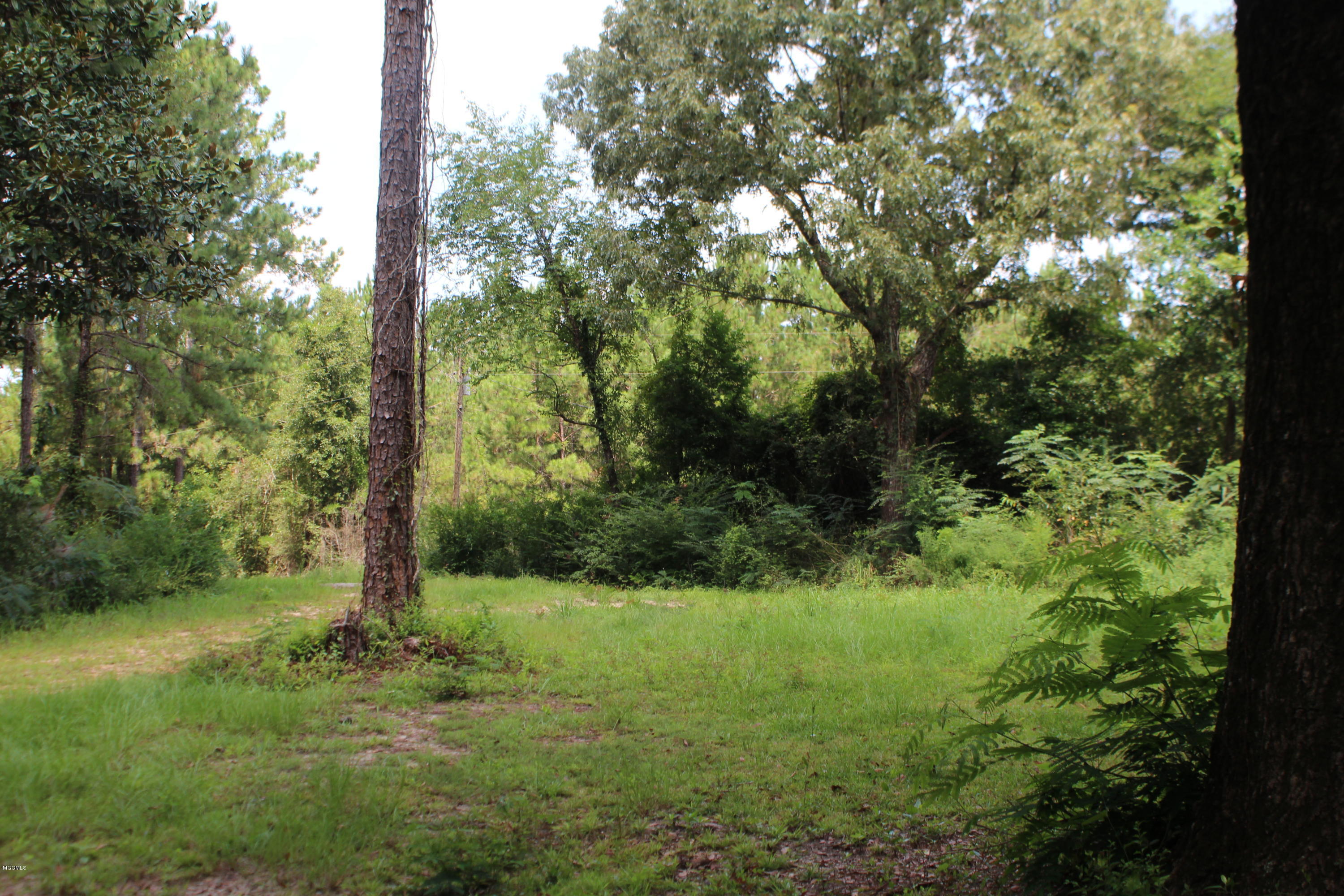 1.39-acres Inland Beach Road Lucedale, MS 39452 - Photo 3 of 11 IMG_4364