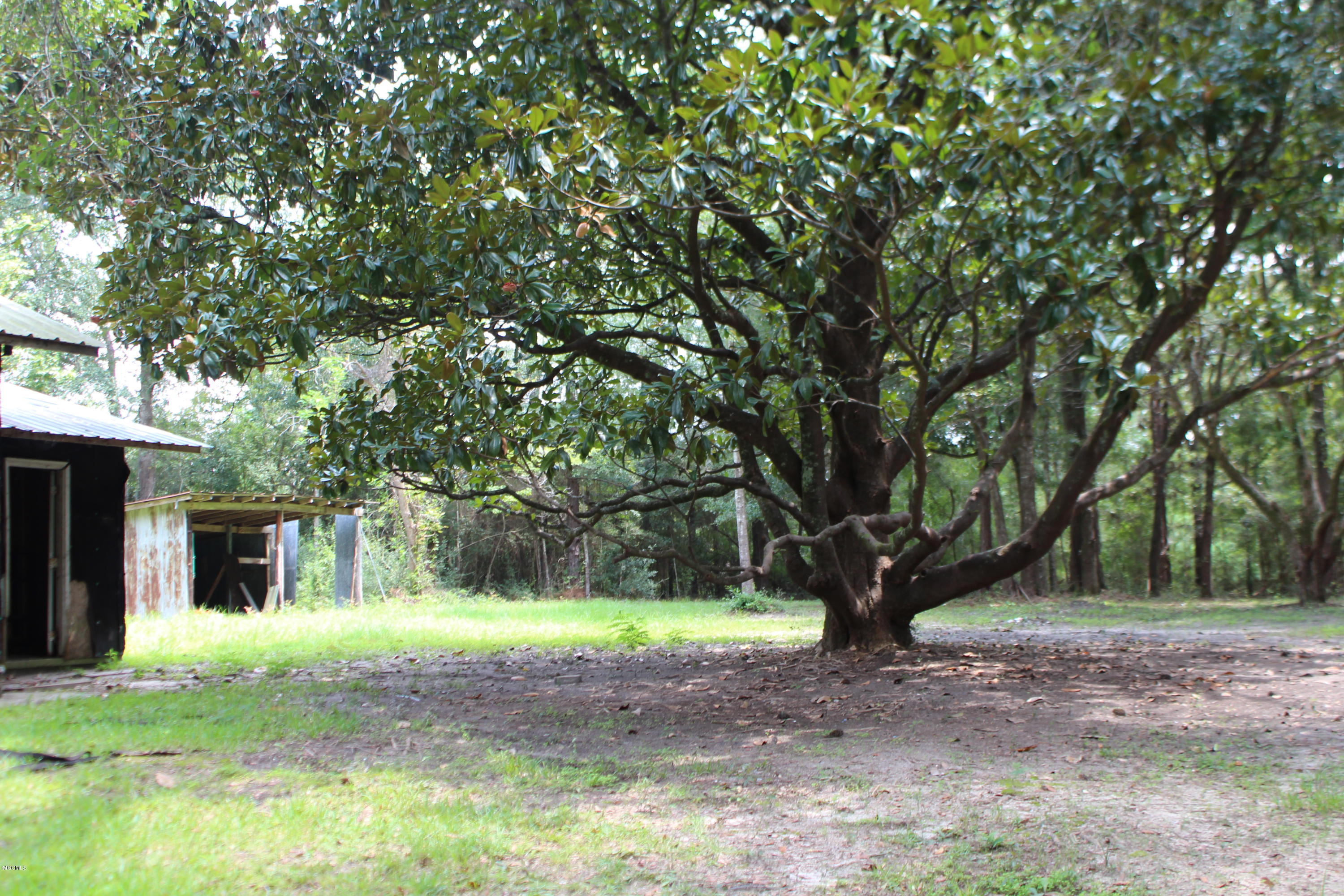 1.39-acres Inland Beach Road Lucedale, MS 39452 - Photo 4 of 11 IMG_4365